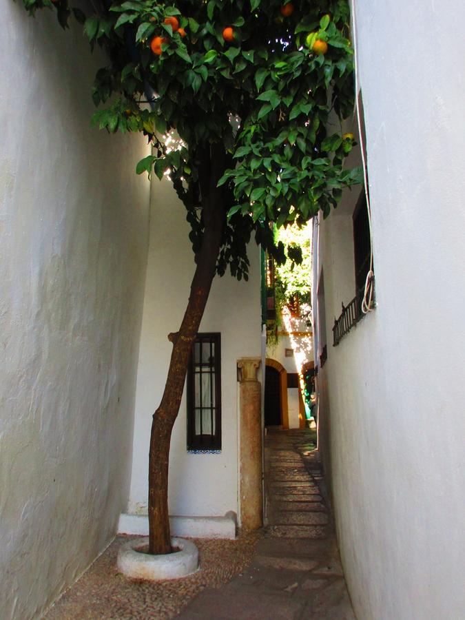 Cordoba Con Encanto Lubi I Exterior foto